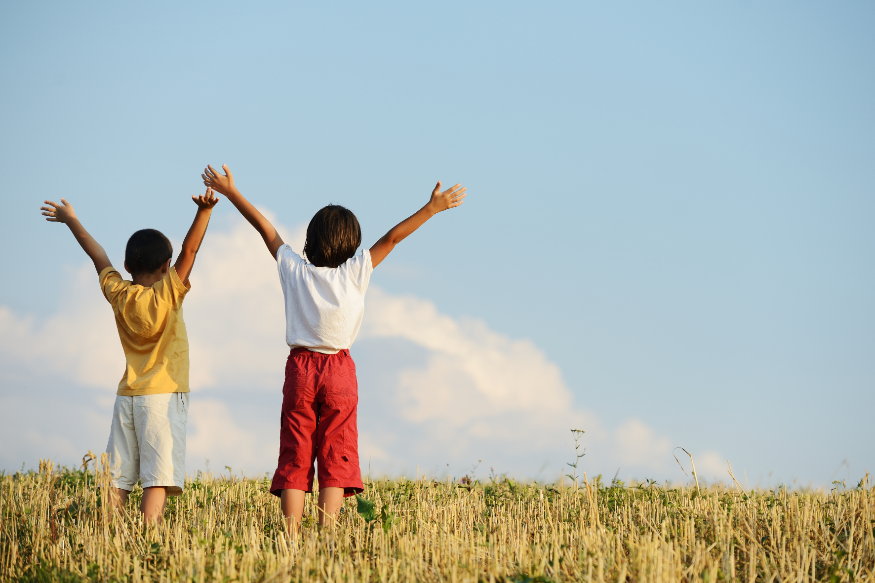 Two children standing in a field with arms raised, symbolizing happiness, stability, and a bright future in child custody decisions.