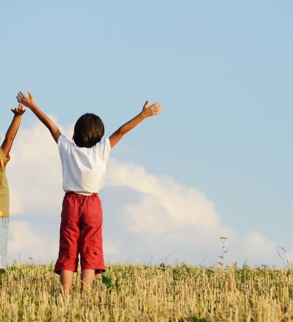 Two children standing in a field with arms raised, symbolizing happiness, stability, and a bright future in child custody decisions.